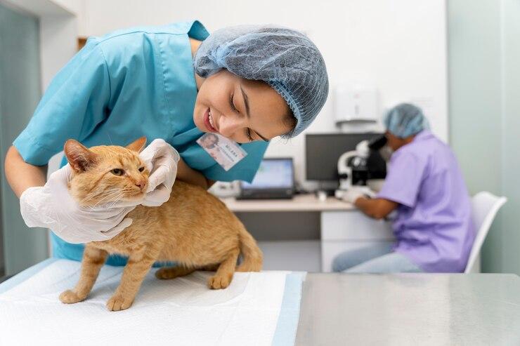 Encontre a Clínica Veterinária Mais Próxima Agora Encontre a Clínica Veterinária Mais Próxima Agora