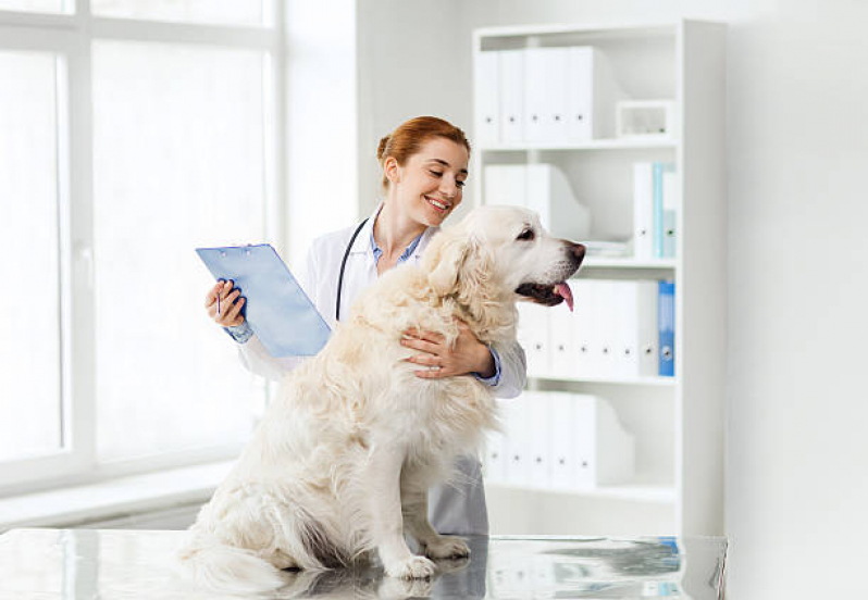 Clínica Veterinária 24 Horas Contato Vila Bela Vista - Clínica Veterinária para Cães e Gatos