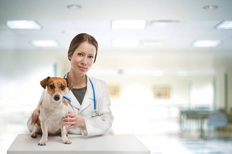 Clínica Veterinária 24 Horas Tutim - Clínica Veterinária para Cães e Gatos