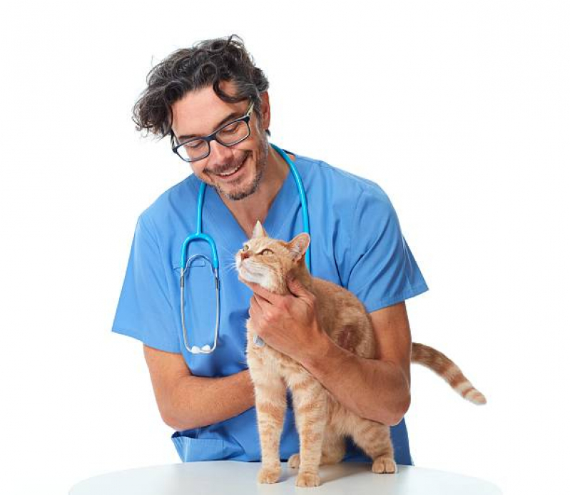 Clínica Veterinária Mais Próxima Vila Independência - Clínica Veterinária para Cães e Gatos