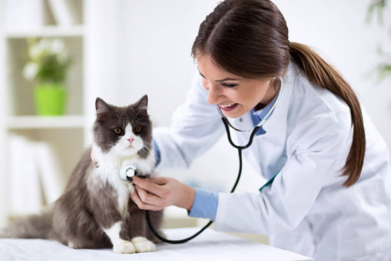 Clínica Veterinária para Cães e Gatos Vila Industrial - Clínica Veterinária Pet