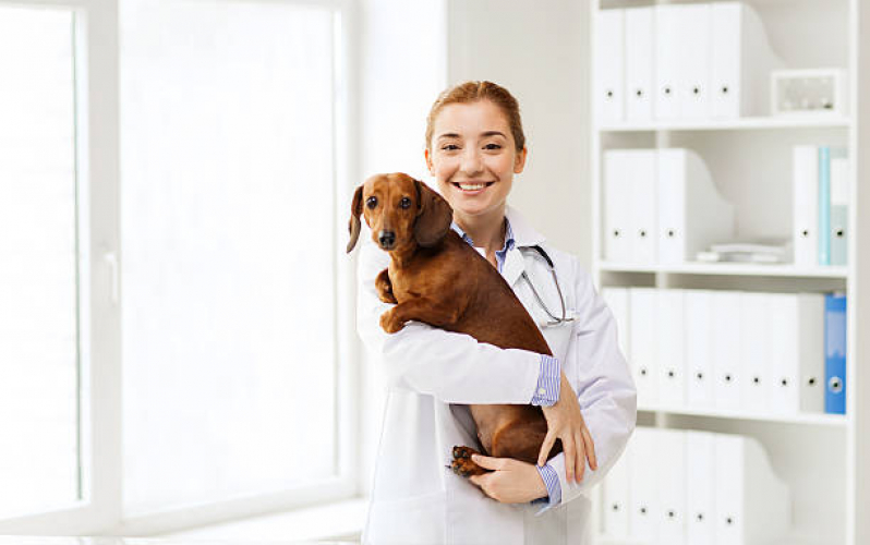 Clínica Veterinária Pet Grama - Clínica Veterinária Próximo de Mim
