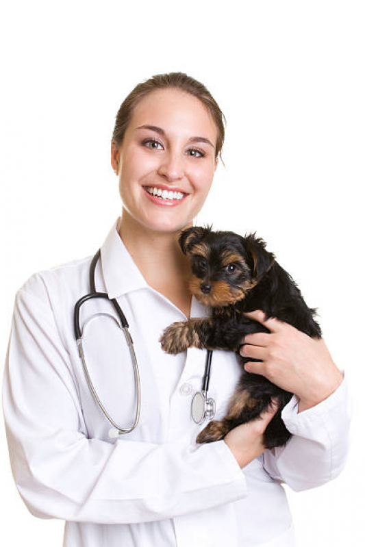 Clínica Veterinária Popular Águas da Prata - Clínica Veterinária para Cães e Gatos