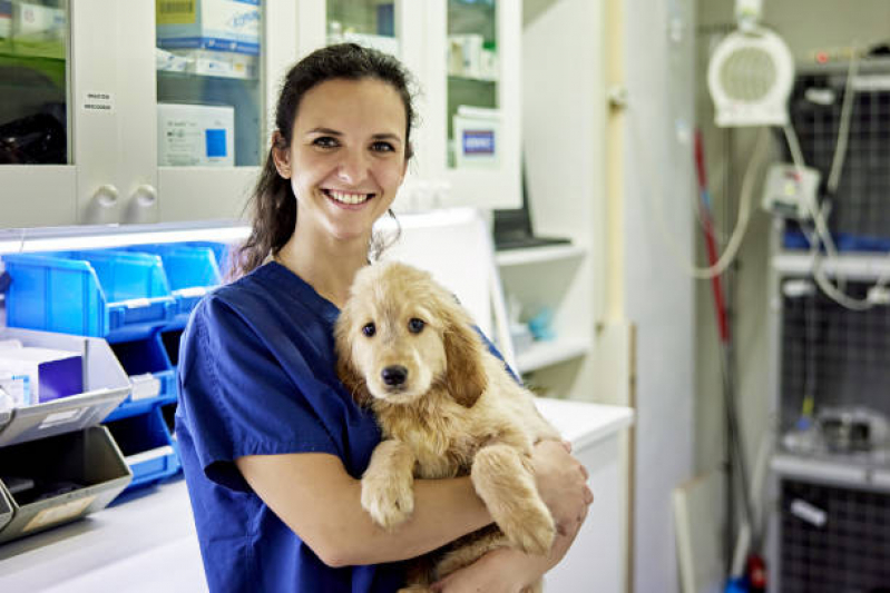 Clínica Veterinária Próximo a Mim Jardim Maracanã - Clínica Veterinária para Cães e Gatos