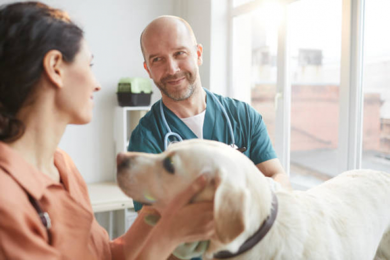 Clínica Veterinária Próximo de Mim Contato Ronda - Clínica Veterinária para Cães e Gatos
