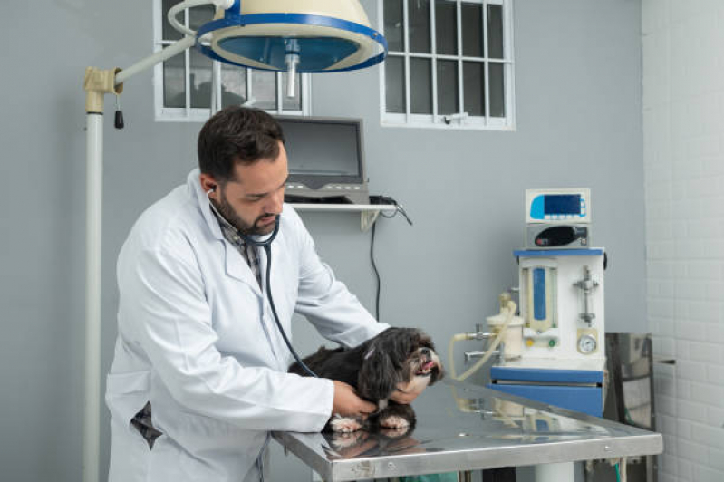 Endereço de Clínica Veterinária Próximo a Mim Vila Santa Rita - Clínica Veterinária para Cães e Gatos