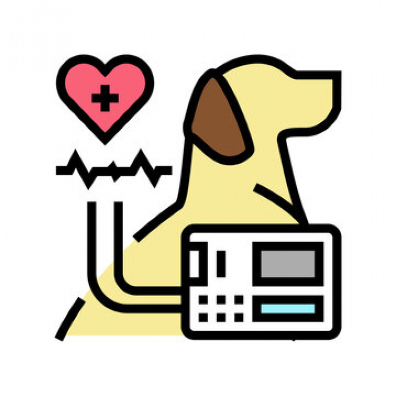 Exame de Eletrocardiograma para Cachorros e Gatos Clínica Rua Dona Eliza Joana Sattelmayer - Exame de Eletrocardiograma em Cães