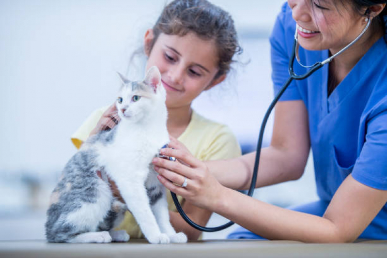 Exame de Eletrocardiograma para Gatos Caçapava Velha - Exame de Eletrocardiograma para Animais