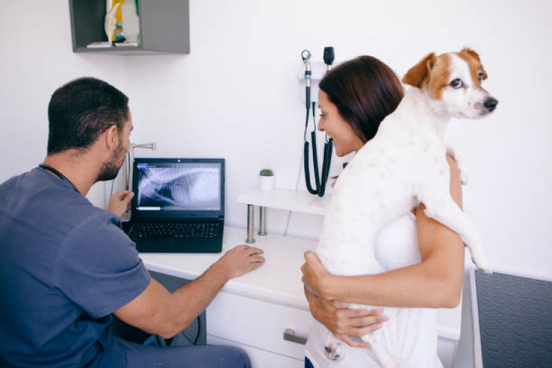 Exame de Raio X do Tórax para Cachorro Preço Jardim Augusta - Exame de Ultrassom Abdominal Cão
