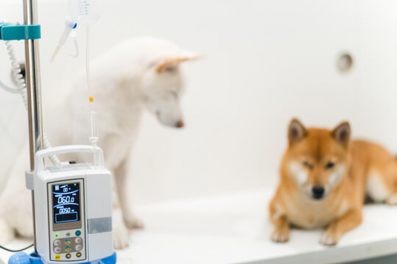 Laboratório para Animais Eugênio de Mello - Exames Laboratoriais em Animais