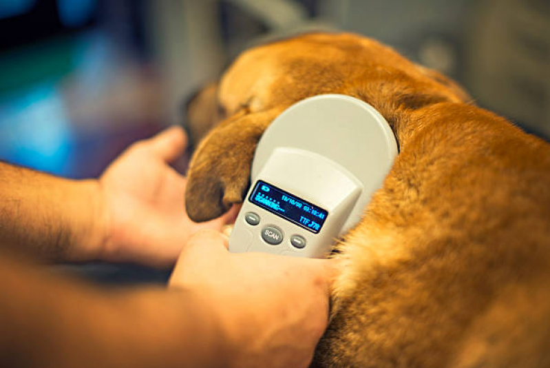 Microchip para Cães Marcar Jardim Apolo - Microchipagem de Animais