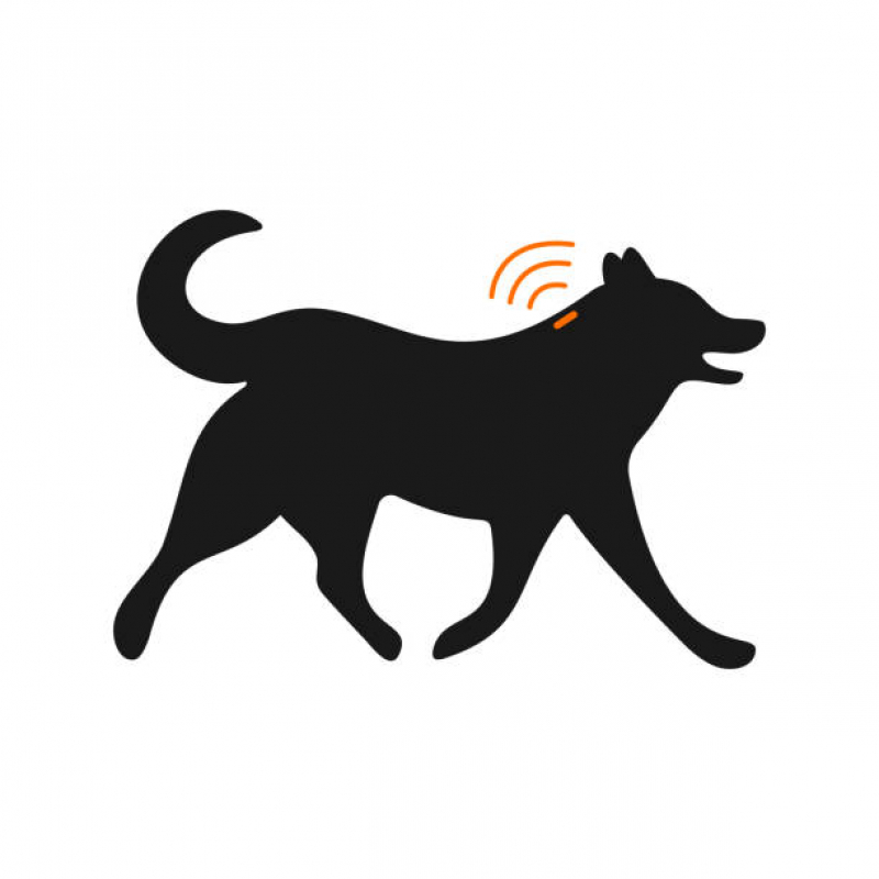 Microchipagem Cachorro Marcar Rua Dona Eliza Joana Sattelmayer - Microchip para Cães