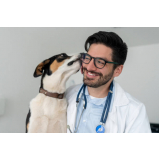 clínica 24 horas veterinária Avenida Cesare Mansueto Giulio Lattes