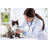 clínica veterinária para cães e gatos Vila Industrial
