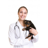 clínica veterinária popular Portal do Ceu