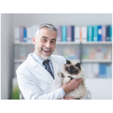 endereço de clínica veterinária para cães e gatos Eugênio de Mello