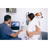 exame de raio x do tórax para cachorro preço Jardim Augusta