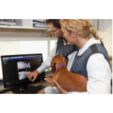 exame de raio x do tórax para cachorro Vila Industrial