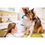 exames laboratoriais para cachorros Vila Sanches