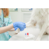 exames laboratoriais para pets Bom Retiro