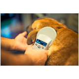 microchip para cães marcar Vila São Pedro