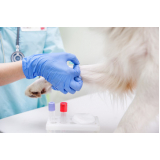 onde fazer exames laboratoriais veterinários Ronda