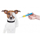 Ozonioterapia para Cachorro