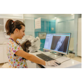 valor de exame de raio x para animais Vila Maria