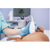 valor de exame de ultrassom abdominal para cachorro Vila Tesouro