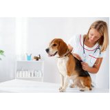 valor de vacina para cachorros Jardim das Cerejeiras