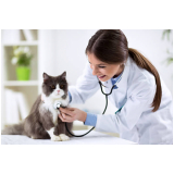 veterinária popular Portal do Ceu