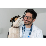 veterinário popular Tutim