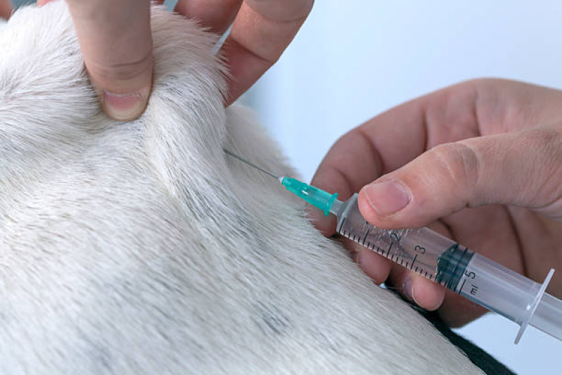 Vacina da Raiva para Cachorro Tijuco Preto - Vacina V10