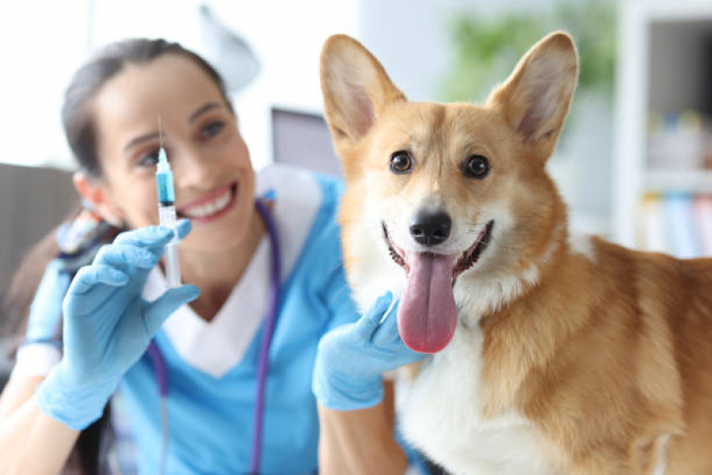 Vacina para Filhote de Gato Valores Jardim Olímpia - Vacina de Giárdia para Cães